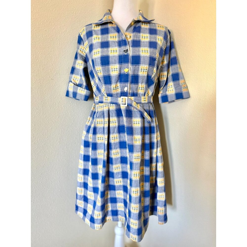 Vintage Late Century Short Sleeve Fit And Flare Gingham Print Belted Farm Dress